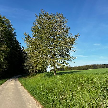 Klosterberghaus - Kontaktloser Check-In Elchingen Luaran gambar